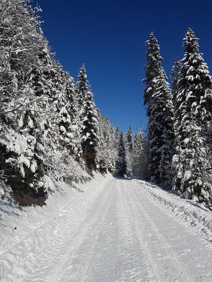 Skalny Zakatek Z Grota Solna Na Wylacznosc Łapsze Niżne Esterno foto