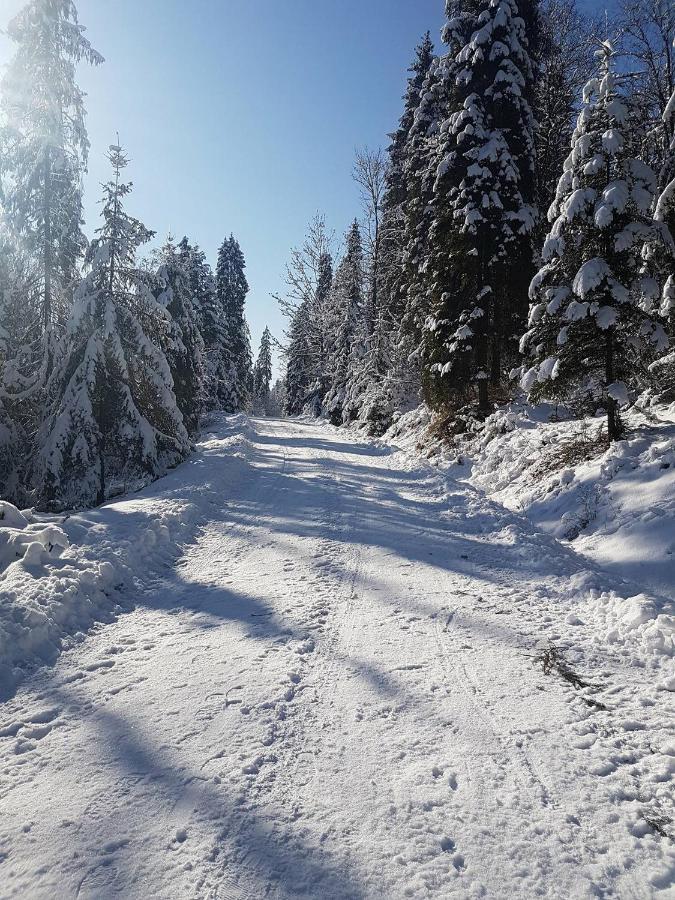 Skalny Zakatek Z Grota Solna Na Wylacznosc Łapsze Niżne Esterno foto